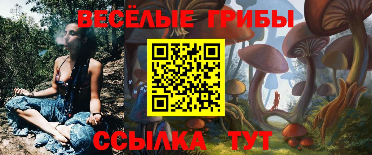 Галлюциногенные грибы прущие грибы  Вход с VPN  Горно-Алтайск 